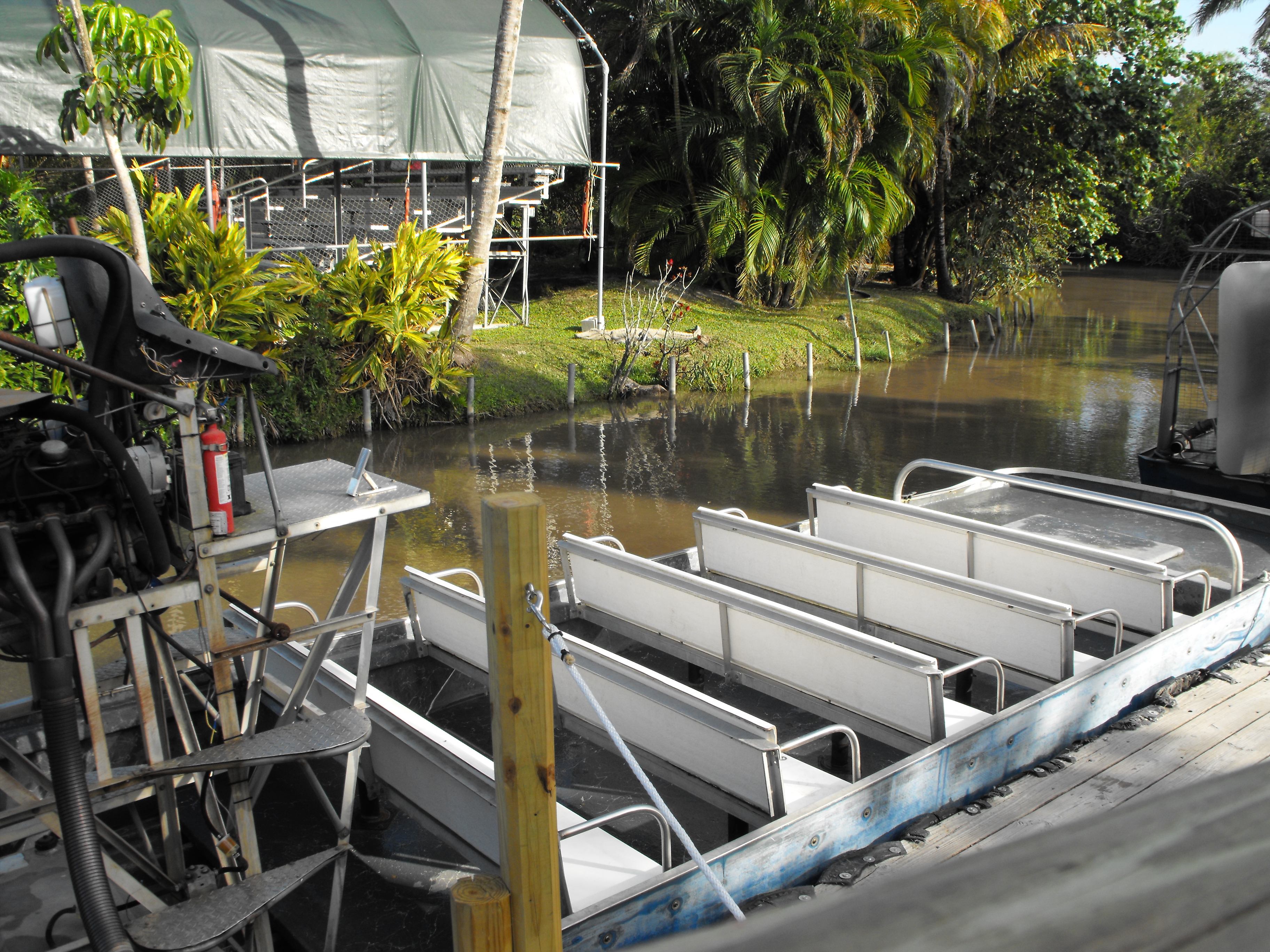 ./2012/Christmas/Aligator Farm/DSCF4266.JPG